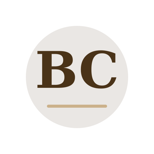 Bodor Chimney Services logo